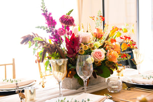 FALL AND THANKSGIVING COLLECTION